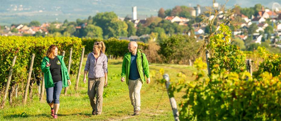 GPS-Weinwanderung verbindet Genuss, Geschichte und digitale Entdeckung - Lesen Sie die Nachrichten