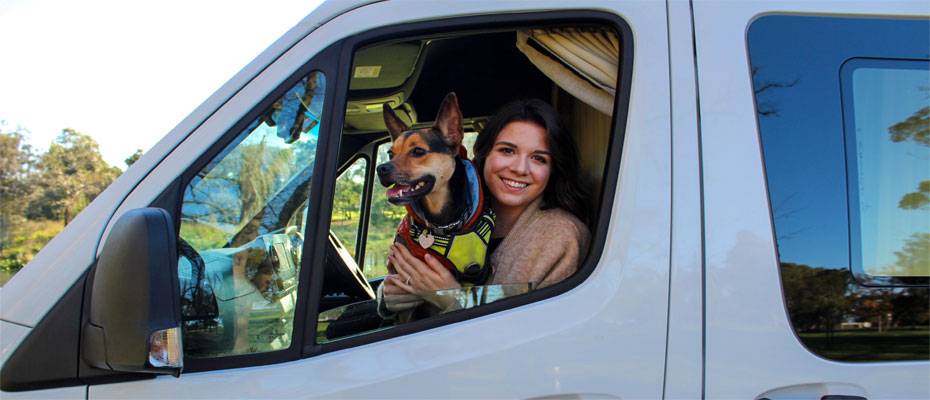Urlaub mit Hund: Naturerlebnisse für Mensch und Vierbeiner - Lesen Sie die Nachrichten