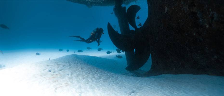 Versenkter Thunfischfrachter wird neues Taucherparadies im Noonu-Atoll - Lesen Sie die Nachrichten