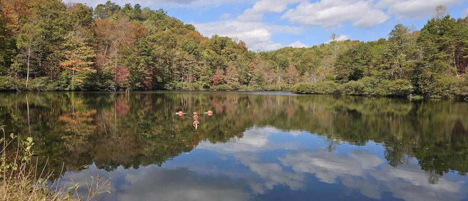 Lazenby Preserve introduces nature-focused residential community in Kentucky - Lesen Sie die Nachrichten?>