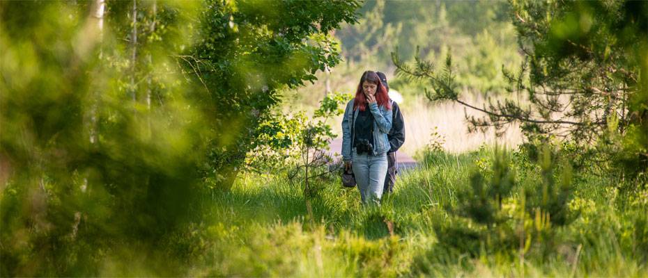Waldtage im Ahlenmoor laden zu Entdeckungstouren durch den Moorwald ein - Lesen Sie die Nachrichten