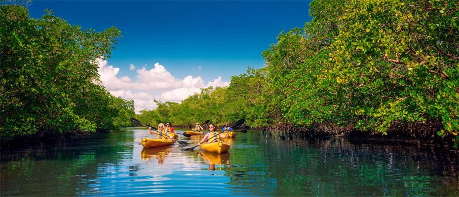 Fort Myers präsentiert neuen digitalen Reiseführer - Lesen Sie die Nachrichten