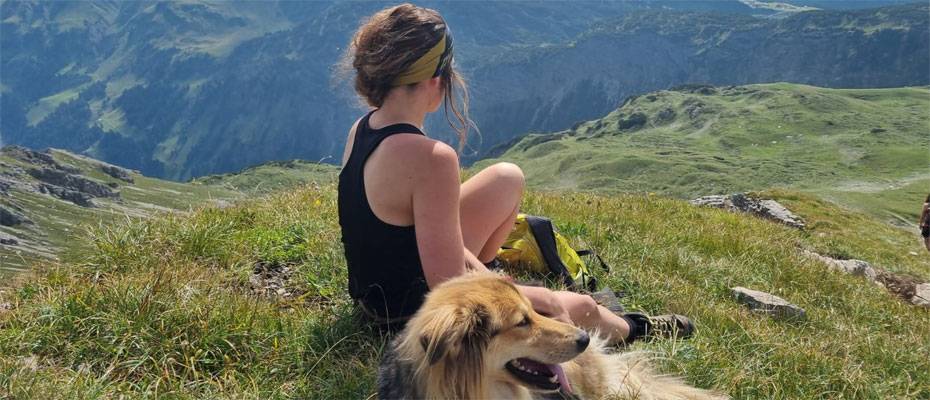 Vier Wandertouren im Allgäu für Urlauber mit Hund - Lesen Sie die Nachrichten