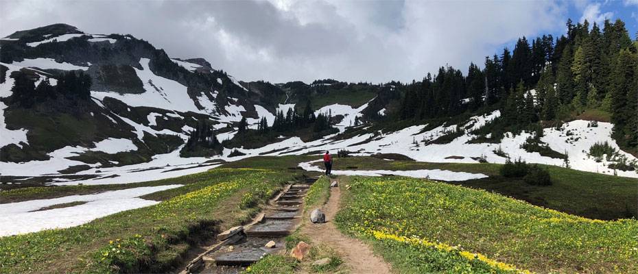 Urban Hiking: Fünf Stadtwanderungen zeigen Seattle von seiner grünen Seite - Lesen Sie die Nachrichten