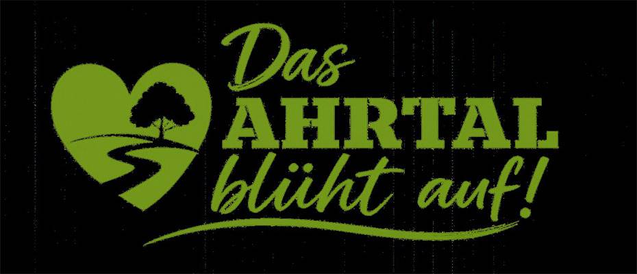 QTA und ROBIN GUT starten Aufforstungsprojekt im Ahrtal - Lesen Sie die Nachrichten