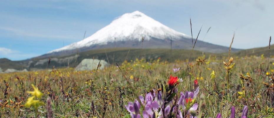 Neue Rundreisen führen zu Ecuadors Vulkanen und Andenlandschaften - Lesen Sie die Nachrichten