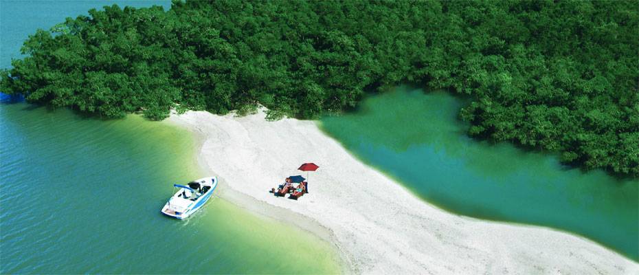 Ten Thousand Islands: Floridas ursprüngliche Wildnis entdecken - Lesen Sie die Nachrichten
