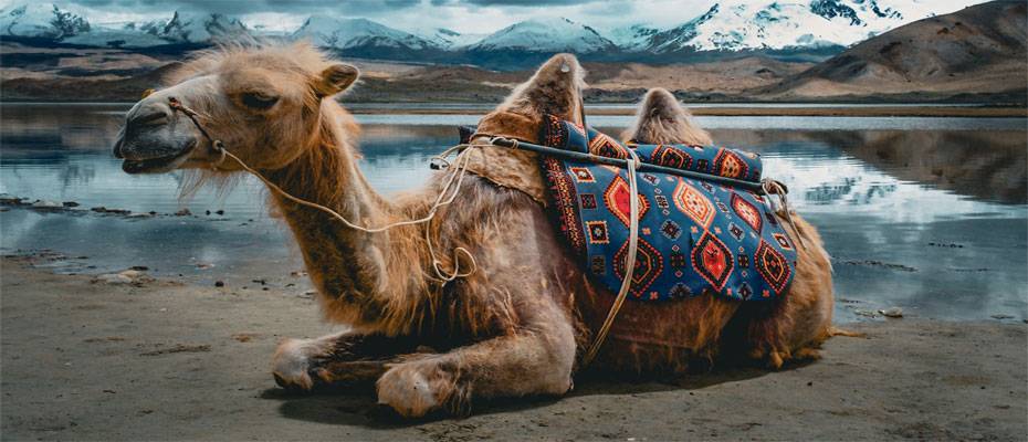 Eberhardt TRAVEL eröffnet neue Rundreise durch Xinjiang - Lesen Sie die Nachrichten