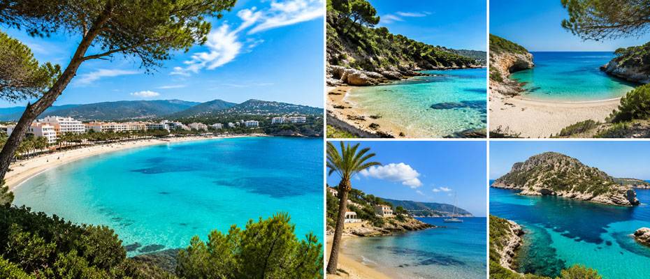 Calvià setzt mit 15 Qualitätsauszeichnungen auf erstklassige Strände - Lesen Sie die Nachrichten