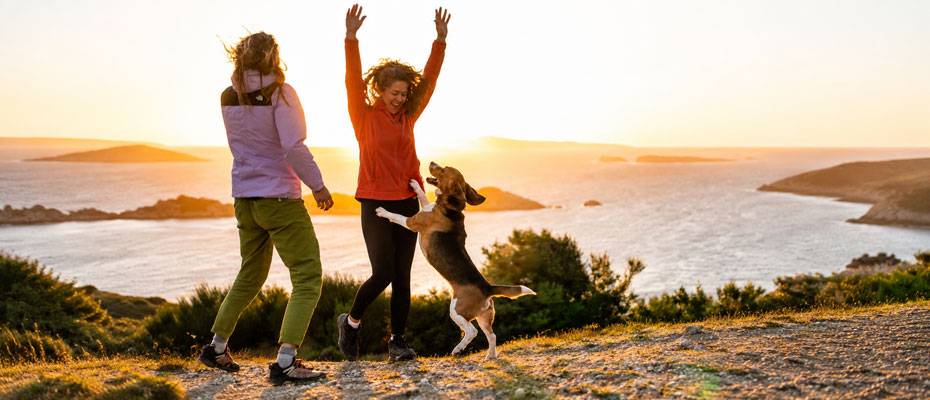 Wikinger Reisen bündelt 36 Wanderreisen mit Hund - Lesen Sie die Nachrichten