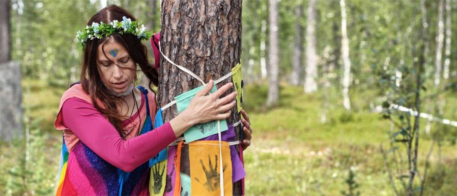 Baumumarm-WM verabschiedet sich vom HaliPuu-Wald - Lesen Sie die Nachrichten
