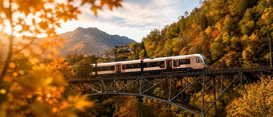 Schweiz: Tessiner Herbst zwischen goldenen Wäldern, Merlot und Tradition - Lesen Sie die Nachrichten