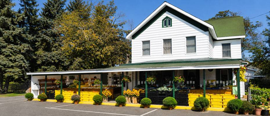 Long Island im Herbst: Wein, Ernte und Farmabenteuer vor New York - Lesen Sie die Nachrichten