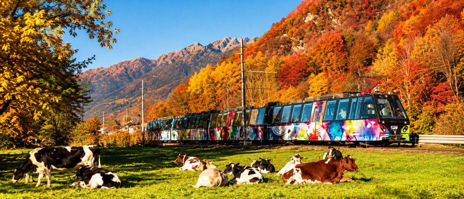Mit dem ‘Treno del Foliage’ durch die Herbstfarben am Lago Maggiore - Lesen Sie die Nachrichten