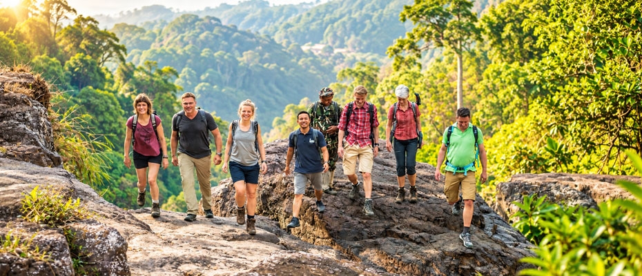 Wikinger Reisen erweitert Single-Reisen um Vietnam und Japan - Lesen Sie die Nachrichten