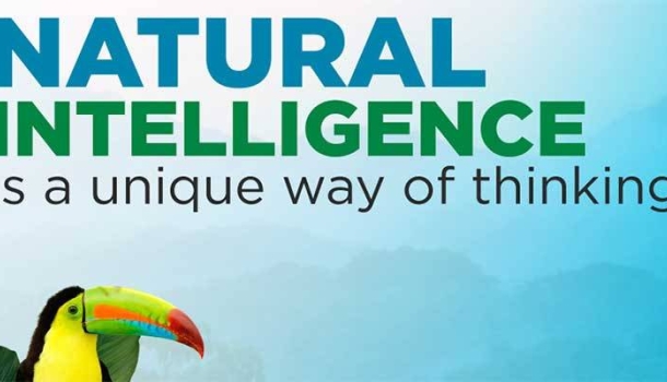 Costa Rica: First country to use artificial intelligence to create its Nation Brand strategy 