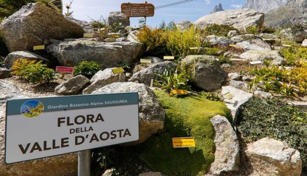 Blühende Höhen: Botanische Gärten im Aostatal laden zum Entdecken ein - Lesen Sie die Nachrichten