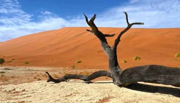 DIAMIR Erlebnisreisen lädt zum Namibia-Webinar am 4. September 2025