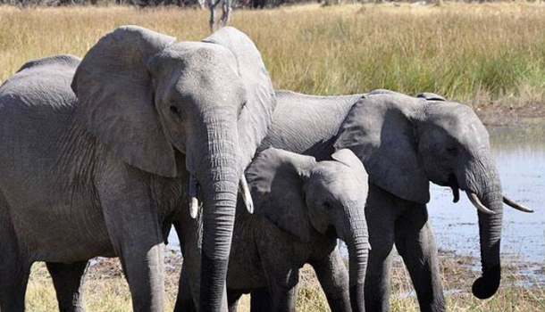 Kenia investiert in moderne Infrastruktur für Touristen - Lesen Sie die Nachrichten