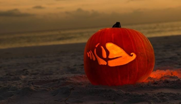 Herbstlicher Glanz in Südwestflorida - Lesen Sie die Nachrichten