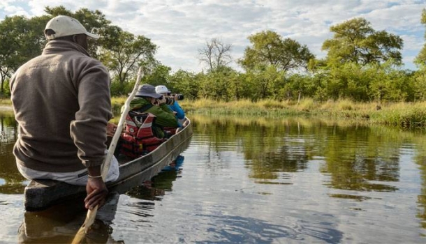 DIAMIR lädt Reiseprofis auf Safari nach Botswana und Simbabwe ein - Lesen Sie die Nachrichten