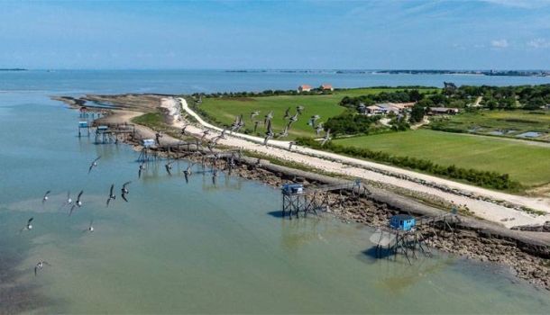 Mehr als Meer - Lesen Sie die Nachrichten