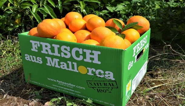 alltours kış sezonuna Akdeniz tazeliği katıyor - Haberi Oku