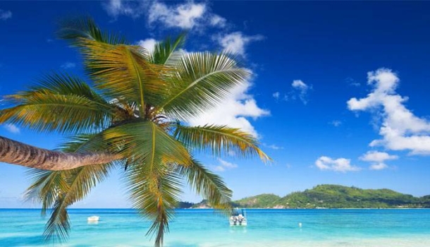 alltours startet Verkauf des Winterprogramms 2026/27