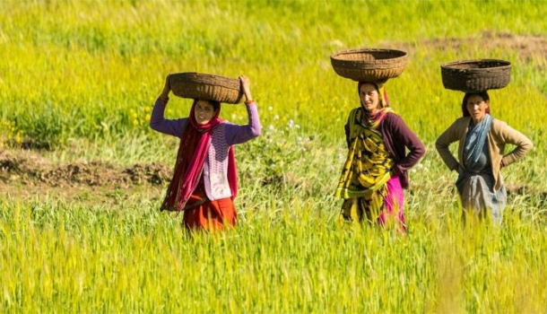Intelligenter Klimaschutz im Tourismus: Wirkung statt Versprechen - Lesen Sie die Nachrichten