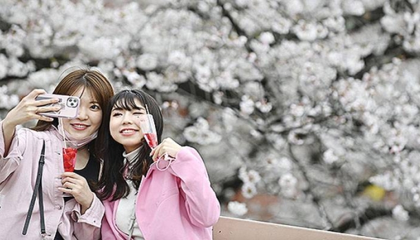 Turistlerin uygunsuz davranışları Japonya’da kiraz çiçeği festivalini durdurdu - Haberi Oku