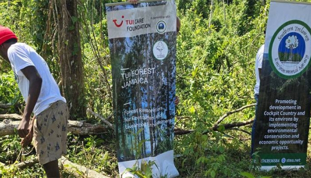TUI Care Foundation launches reforestation initiative in Jamaica’s Cockpit Country - Read the News