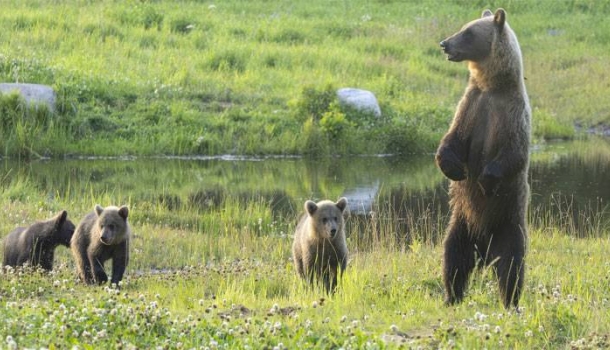 DIAMIR lädt Reisebüromitarbeiter zum FAMtrip nach Estland - Lesen Sie die Nachrichten