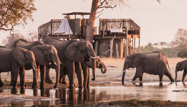 Unter Afrikas Sternen: Wilderness setzt auf exklusive Star-Bed-Erlebnisse