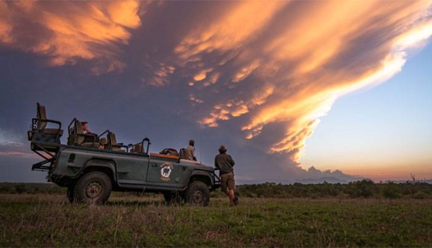 Südafrika setzt 2026 verstärkt auf Noctourismus - Lesen Sie die Nachrichten