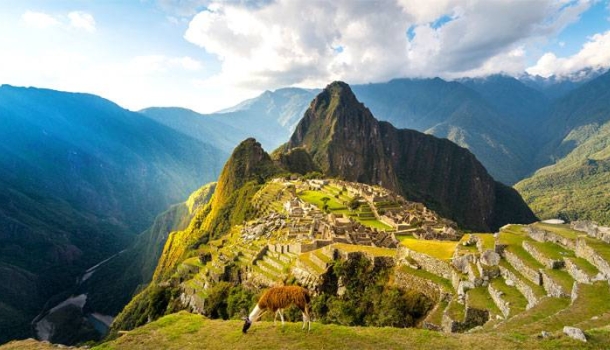 Holland America Line erweiterte Südamerika-Programm ab 2027 - Lesen Sie die Nachrichten