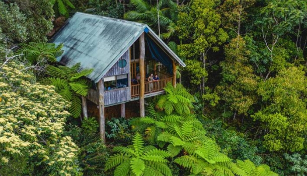 Tropical North Queensland: Naturerlebnisse als Quelle für mehr Wohlbefinden - Lesen Sie die Nachrichten