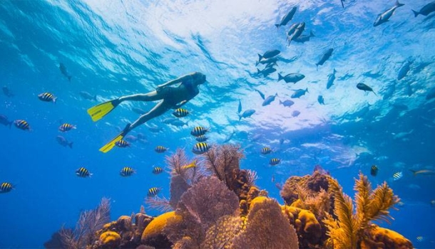 Belize positioniert sich 2026 als Ziel für bewusstes Reisen - Lesen Sie die Nachrichten