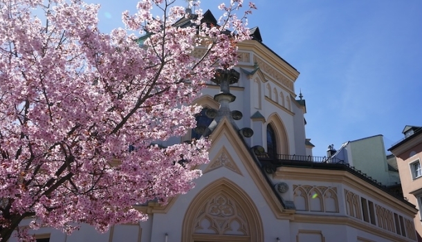 Frühlingsurlaub im Chiemsee-Alpenland  - Lesen Sie die Nachrichten