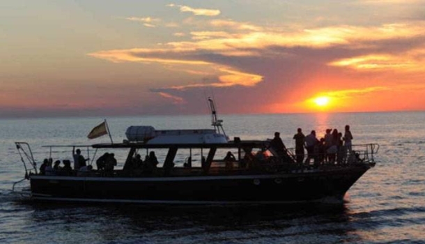 Tren de Sóller bietet teures Eclipse-Paket auf Mallorca an - Lesen Sie die Nachrichten