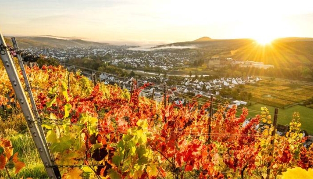 rtk Dialogtage starten mit Erlebnistag im Ahrtal - Lesen Sie die Nachrichten