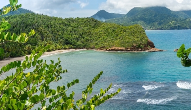 Erlebnisreisen mit G Adventures nach Dominica  - Lesen Sie die Nachrichten