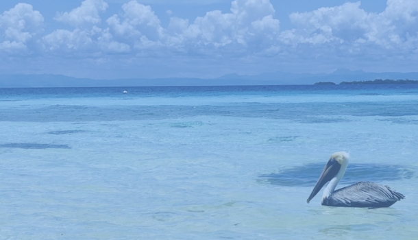 To Belize in the off-season with Alaska Airlines - Read the News