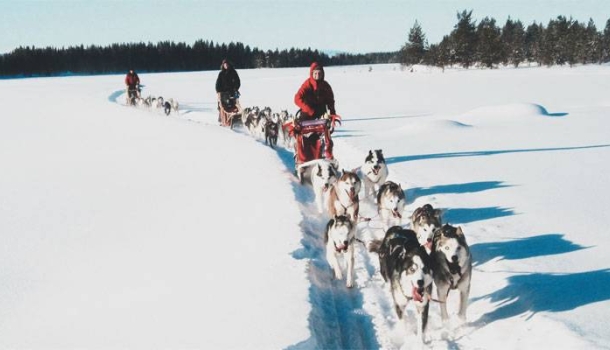 Wyldaway erweitert Programm mit Reisen nach Lappland, Vietnam und Indien