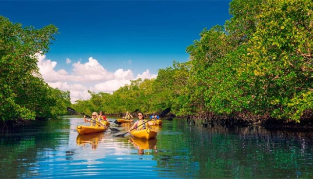 Fort Myers präsentiert neuen digitalen Reiseführer - Lesen Sie die Nachrichten