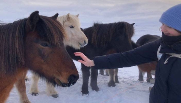 Experiment erweitert Ranchstay-Angebot um Island und Skandinavien - Lesen Sie die Nachrichten