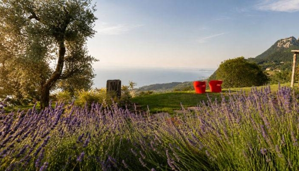 Lefay Resorts setzen auf bewusste Regeneration statt bloßer Auszeit - Lesen Sie die Nachrichten