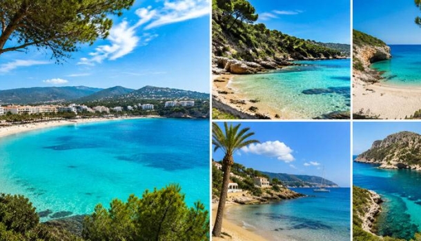 Calvià setzt mit 15 Qualitätsauszeichnungen auf erstklassige Strände - Lesen Sie die Nachrichten