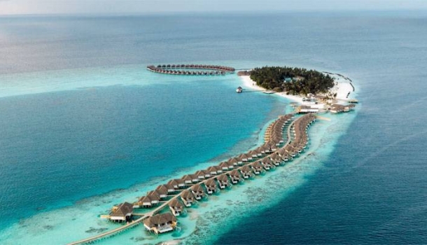 Malediven: Korallenpatenschaft statt Souvenir im Sun Siyam Vilu Reef - Lesen Sie die Nachrichten