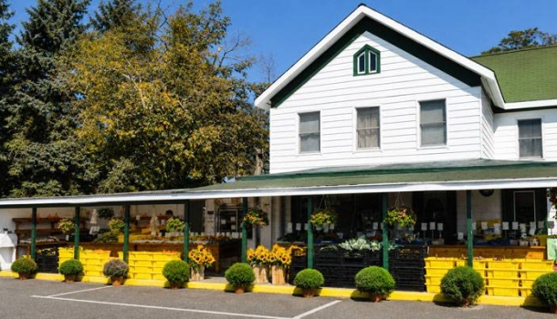 Long Island im Herbst: Wein, Ernte und Farmabenteuer vor New York - Lesen Sie die Nachrichten