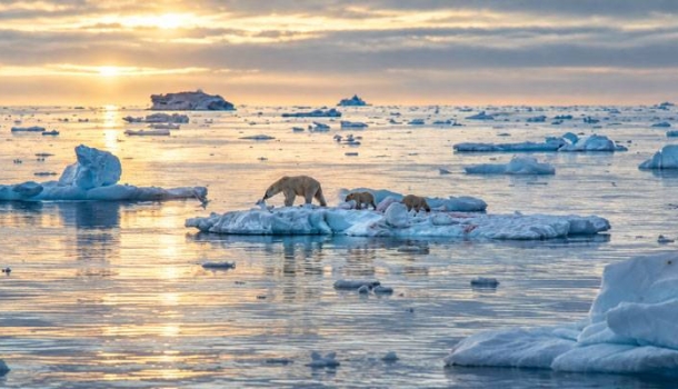 Polaris Tours führt tief in die arktische Wildnis